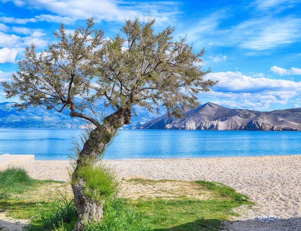 Villa Zlata - Holiday House Baška Eksteriør bilde